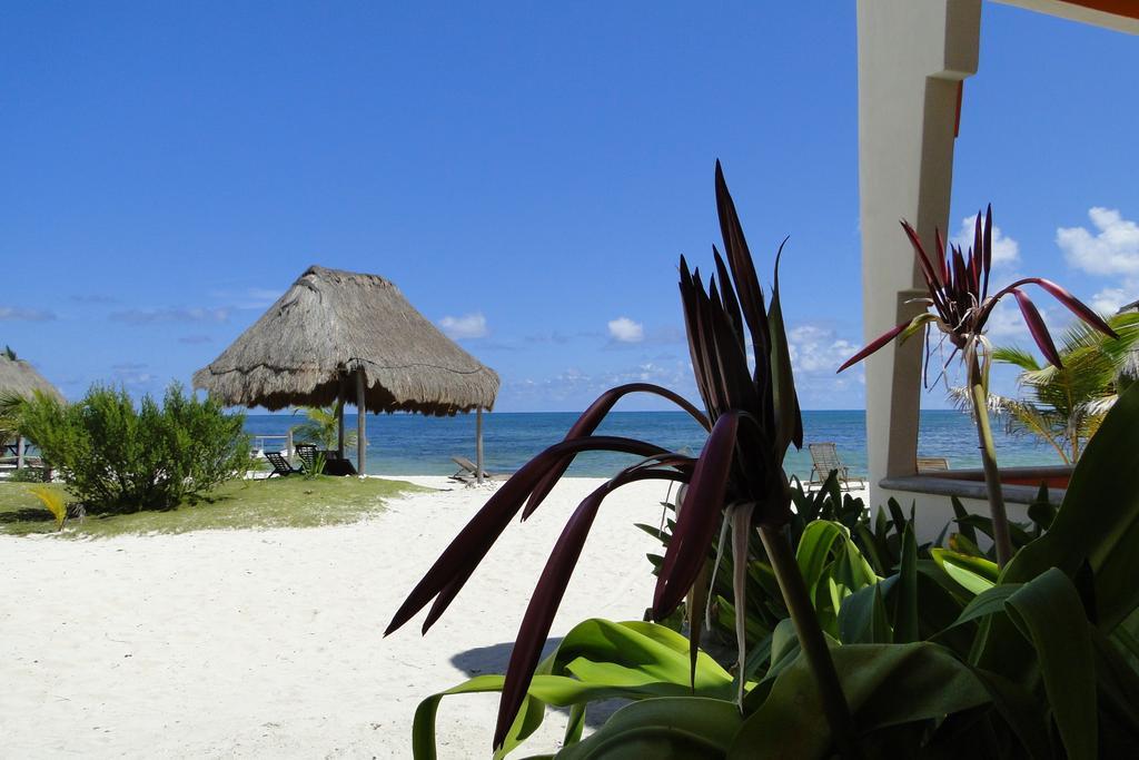 Mayan Beach Garden El Placer Eksteriør bilde